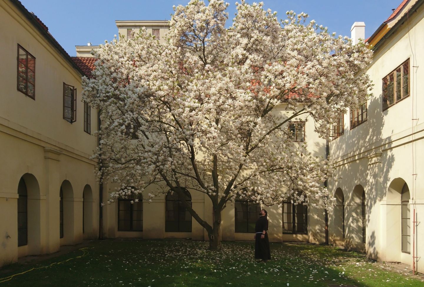 Pronájem prostor v klášteře v Praze